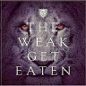 Meet your Posher, Ernest